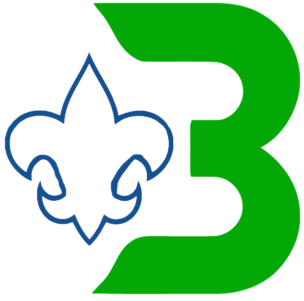 Binghamton Whalers 1980 81-1989 90 Misc Logo iron on transfers for clothing